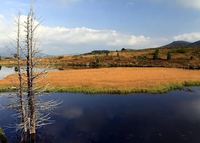 Hotel Sonnalm - Spa,idyll,dining